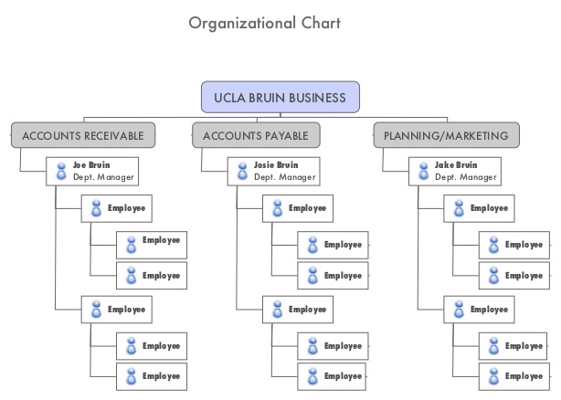 organizational chart example